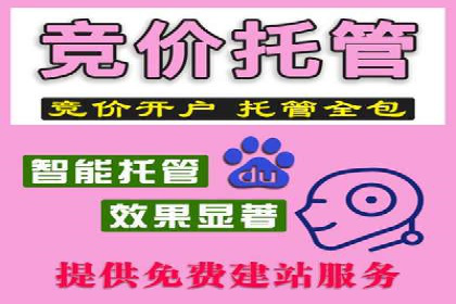 实战解析：百度竞价排名服务成功案例